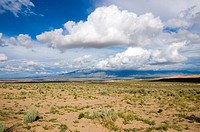 New Mexico Desert USA