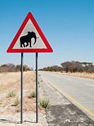 Traffic sign warning of crossing elephants at the B8 at its section through the Bwabwata National Park in the Caprivi strip  Bwabwata National Park, C...