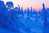 Winter landscape. Scandinavia