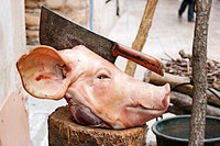 cabeza de cerdo con un cuchillo de carnicero clavado por la mitad, Montblanc, Conca de Barcerà, Tarragona, Spain
