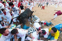 Amateur bullfight with young bulls, San Fermín street-partying, Pamplona, Navarra Navarre, Spain, Europe