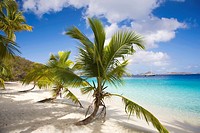 Salomon Beach in the Virgin Islands National Park on the Caribbean Island of St John in the US Virgin Islands