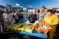 Fishermen unloading fish at port, Castro Urdiales, Cantabria, Spain
