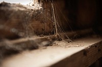 Dusty cobwebs in derelict building