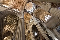 Interior New Cathedral, Salamanca, Castilla y león, Spain