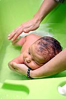 A newborn baby being bathed in the face down position