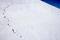 Footprints in the snow in the mountains of the Valle de Boi - Pyrenees - Lleida Province - Catalonia - Catalonia - Spain