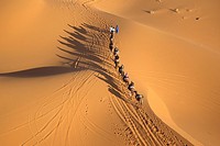 aerial view of camel train on sand dunes erg chebbi, morocco
