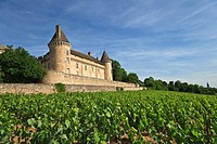 Rully castle and vineyards in Rully, Burgundy, France, Europe