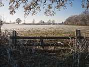 Frosty morning scene, Oxfordshire, England, UK