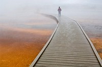 Tourist on boardwalk in steam over the fragile ground at the Grand Prismatic Spring, Midway Geyser Basin, Yellowstone National Park, Wyoming