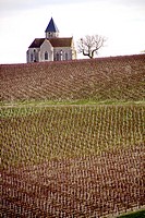 Church of the french village of Prehy, lost in the vineyards and famous for its wine of Chablis, nice view and cliché of Burgundy, with special atmosp...