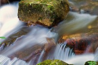 Alba River. Redes Natural Park and Biosphere Reserve. Soto de Agues. Concejo de Sobrescobio. Asturias. Spain.