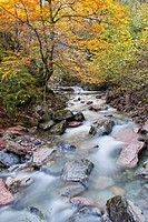 Route of El Alba. Alba River. Redes Natural Park and Biosphere Reserve. Soto de Agues. Sobrescobio Council. Asturias. Spain.