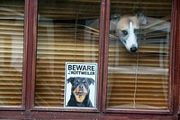 beware rottweiler dog sign notice in house home property window