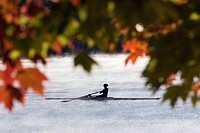 Rowing in Early Morning Mist - Lake Julian - Asheville, North Carolina USA