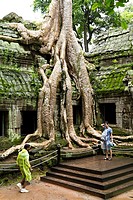 Ta Prohm Temple Complex, Siem Reap, Cambodia