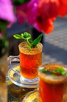 Africa, Tunisia, Tozeur  Tea from fresh mint leaves