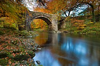 Holne Bridge over the River Dart, Dartmoor National Park, Devon, Southwest England, Europe