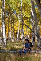 Asian man sitting on a log enjoying a beautiful grove of aspen trees with yellow leaves in autumn in Colorado