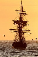 Old Tall Ship Pacific Ocean