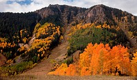 Autumn color in the San Juan Mountains of Colorado
