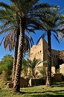 historic adobe city Al Hamra, Dakhliyah Region, Sultanate of Oman, Arabia, Middle East