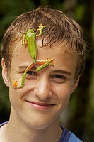 Boy with Gliding leaf frog Agalychnis spurrelli - Costa Rica - tropical rainforest