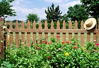 Bright zinnias and straw hat soften the wooden picket fence that protects the vegetable garden from animals, midwest USA