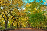 Literary Walk in Autumn colors, Central Park