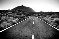 Road in Teide National Park Tenerife  Canary Islands  Spain