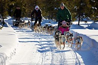 Sled dog tour with huskies