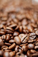 Pile of decaffinated coffee beans, short DOF focus on foreground