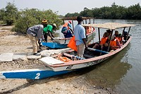 Bird watchers take boat trip on Allahein River in south of The Gambia