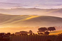 Val d´Orcia at dawn with morning fog, San Quirico d´Orcia, Tuscany landscape, UNESCO World Heritage Site, Siena Province, Tuscany, Italy, Europe