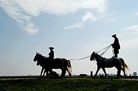 Hungary, A ´chicos´ cowboy giving a riding demonstration at a farm in the ´Puszta´, near Kalocsa