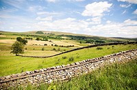 View of agricultural field with stone wall, Wensleydale, Yorkshire-Dales region in North-England, Great Britain, Europe