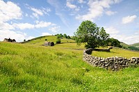 Cottages in farmland with stone wall, Meadows near Muker, Yorkshire-Dales region in North-England, Great Britain, Europe