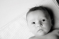 2 month old baby girl laying on a towel in the studio looking at the camera.