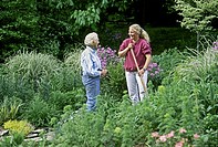 Mature woman and young woman confer in blooming garden on summer evening about gardening