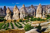 Fairy chimneys  Cappadocia Region  Nevsehir province  Turkey