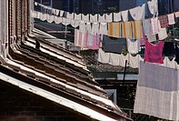 Looking across the back gardens and yards of victorian terraced houses ,with cat and washing lines, in North End, Portsmouth, Hampshire, Southern Engl...