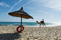 North Africa, Tunisia, Cape Bon, Hammamet. Camel for tourists walking on the beach.