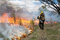 Detroit, Michigan - Workers wearing protective clothing burn parts of River Rouge Park with the aim of eliminating invasive species  After the fire, s...