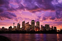 Sydney Skyline from Botanical Gardens at dusk