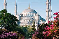 The iconic Blue Mosque, Istanbul, Turkey