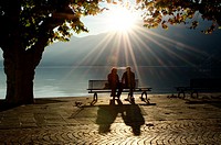 Couple on a bench between two trees on the lake front with shadows and sunbeam