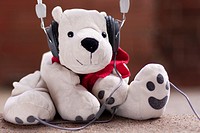 White teddy bear listening to music with headphones