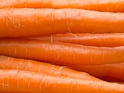 Macro shot of stacked fresh carrots