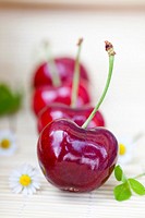 Vignola red Cherries